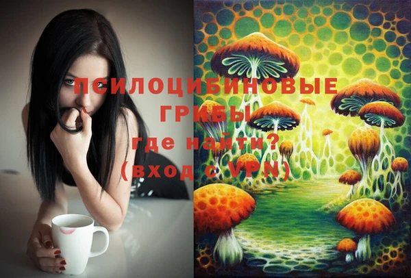 эйфоретик Краснотурьинск