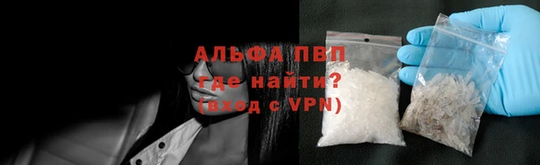 гашик Коряжма