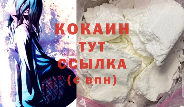 гашик Коряжма