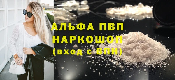 гашик Коряжма