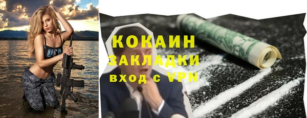 шишки Козловка