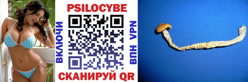Псилоцибиновые грибы Psilocybine cubensis  Клинцы 
