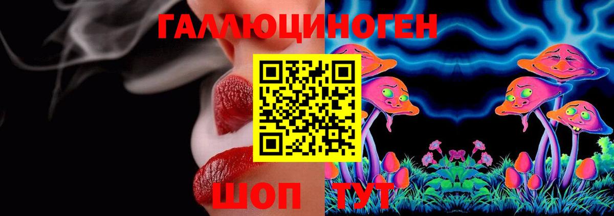 Псилоцибиновые грибы Cubensis  Вход с VPN  Клинцы 