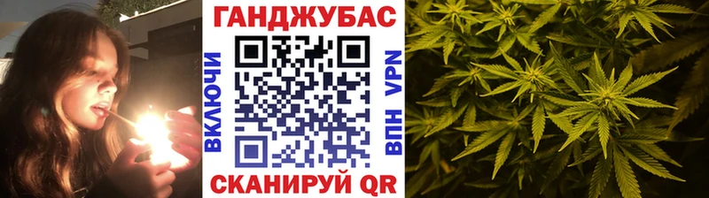 Каннабис сатива  Клинцы 